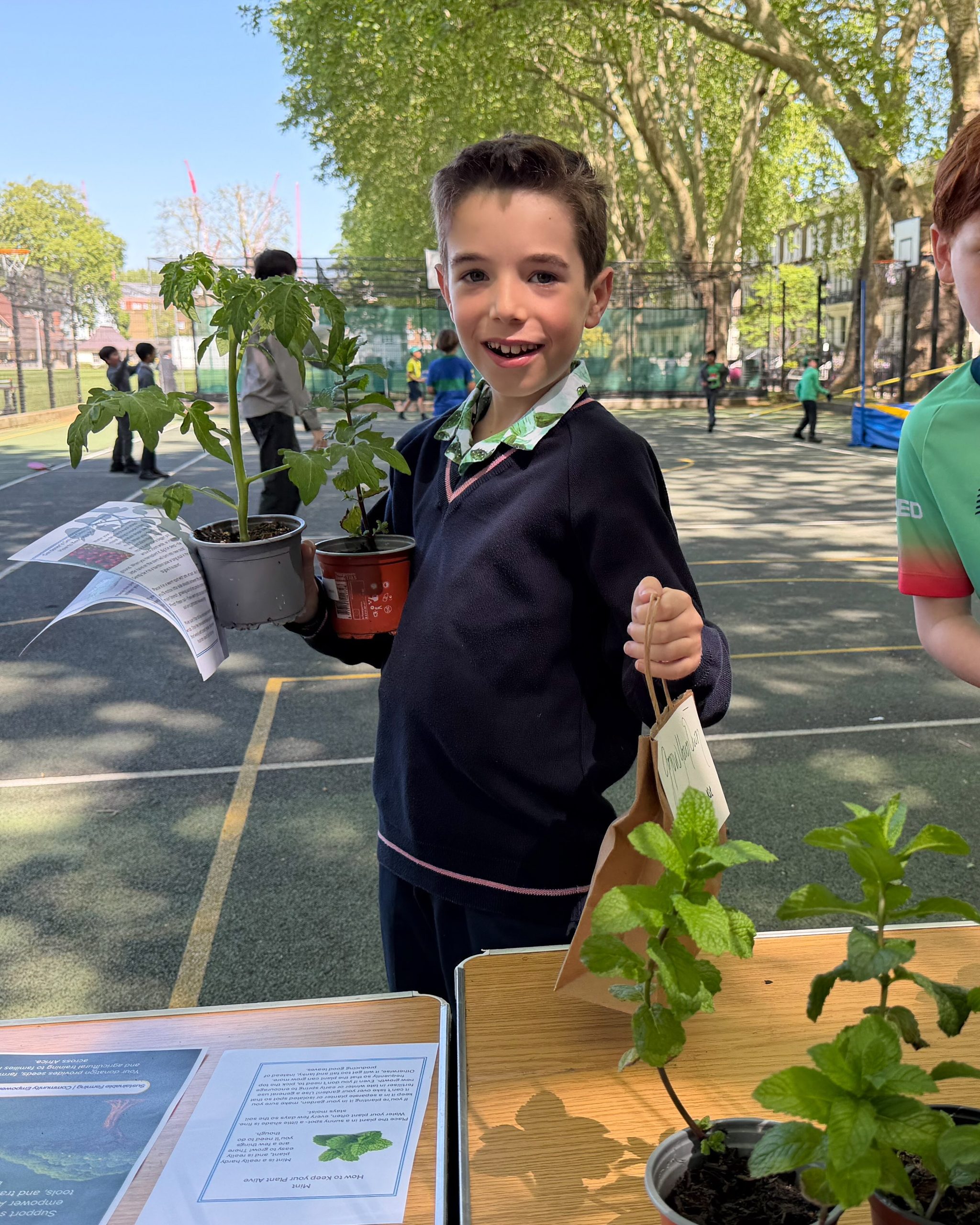 Sustainability Week