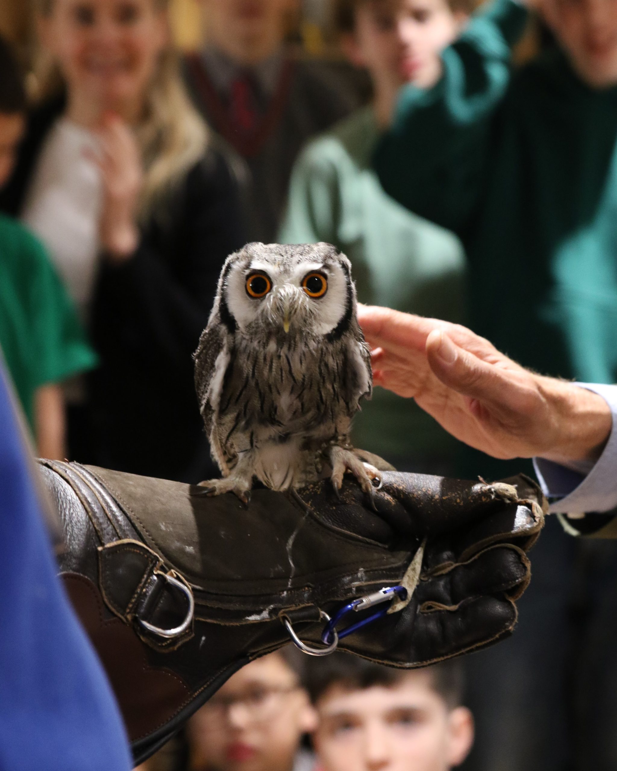 Sustainability Week